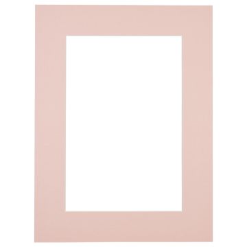 Passe-partout - Babyroze met witte kern